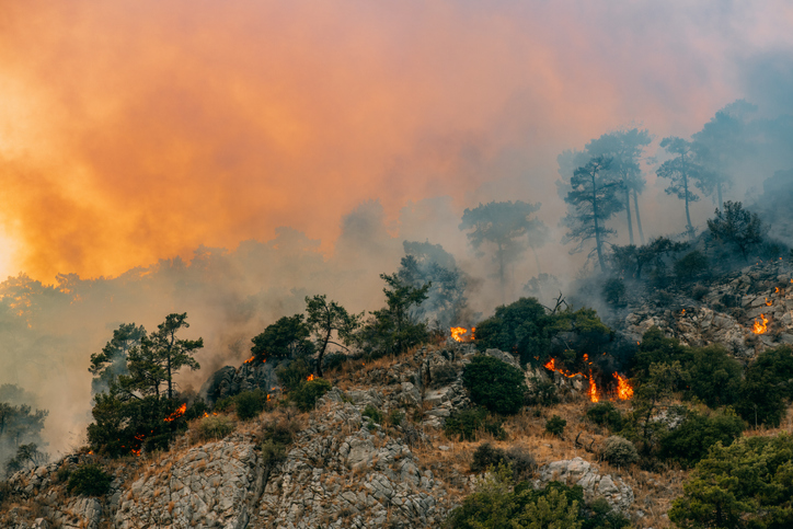 Wildfire Season Readiness: Protecting Outdoor Workers From Smoke, Heat and Changing Conditions